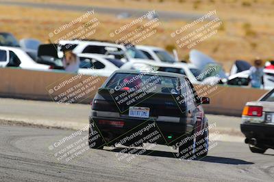 media/Feb-22-2025-Team Topak Racing (Sat) [[cb57a51a40]]/86 Party Brigade/Turns 13 and 14/